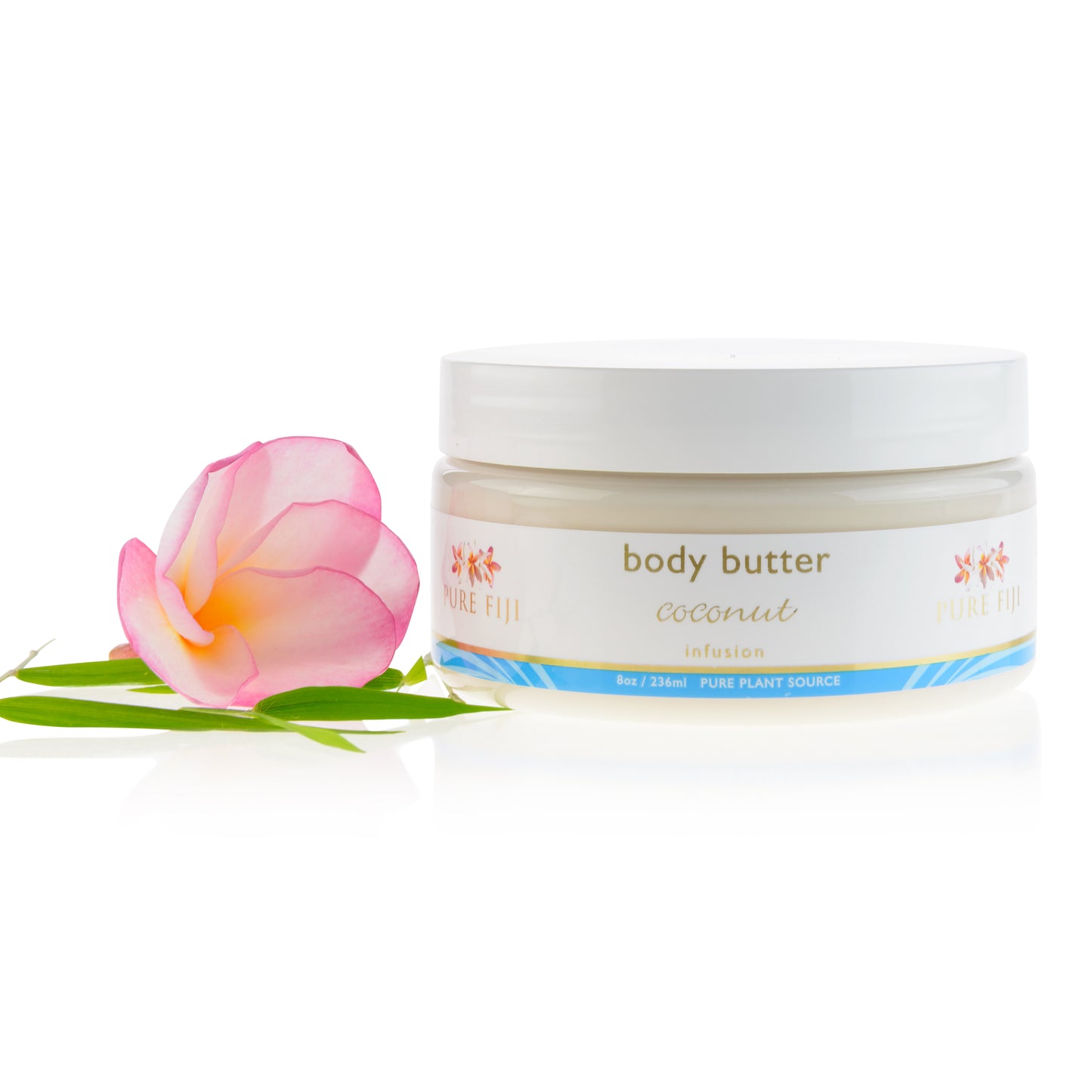 Pure Fiji - Body Butter 8oz - Coconut