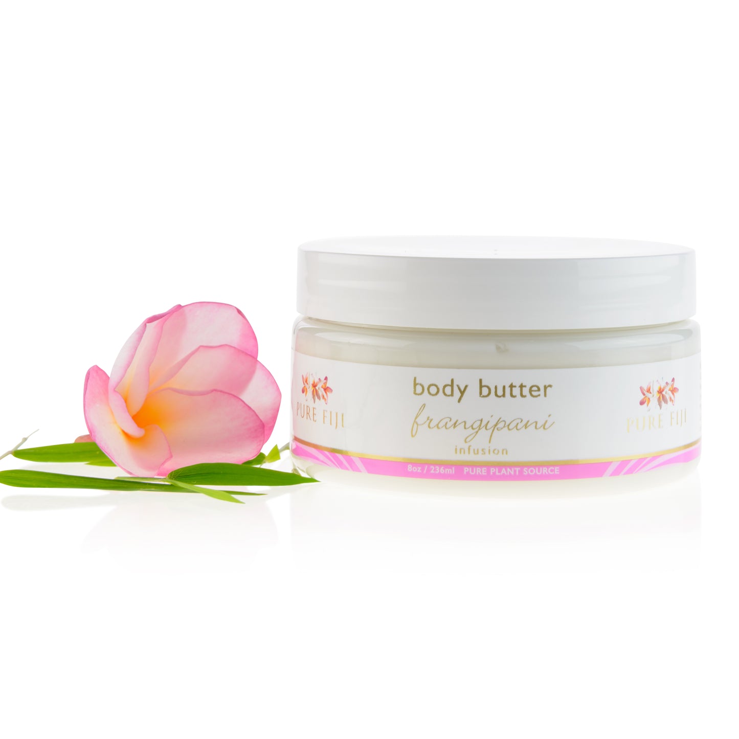 Pure Fiji - Body Butter 8oz - Frangipani